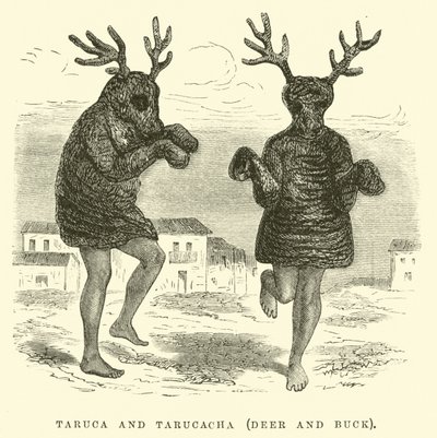 Taruca和Tarucacha，鹿和巴克 作者 爱德华·里奥（Edouard Riou）